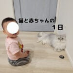 今日のモフ猫と赤ちゃん😺👶