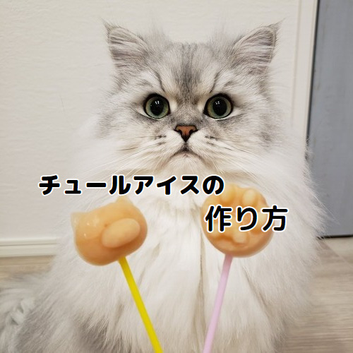 チュールアイスの作り方 │ モフ猫おもち、ときどき赤ちゃん