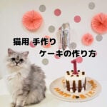 猫ちゃん用バースデーケーキの作り方★第1弾★