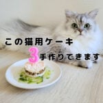 モフ猫に誕生日ケーキを作りました