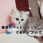 某ペットショップの疑惑について思うこと