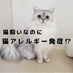 猫アレルギーになったかもしれません…