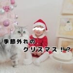 モフ猫と赤ちゃんの今さらクリスマス